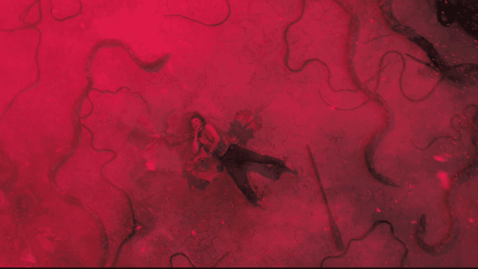Some Stranger Things Fans Think Steve Will Die From A Demobat Infection In Season 5 - Stranger Things Season 5 Steve Death